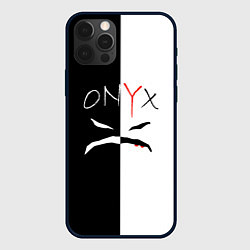 Чехол iPhone 12 Pro Max ONYX