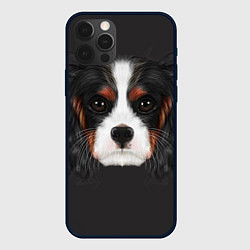 Чехол iPhone 12 Pro Max Cavalier King Charles