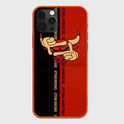 Чехол iPhone 12 Pro Max NBA. Chicago Bulls