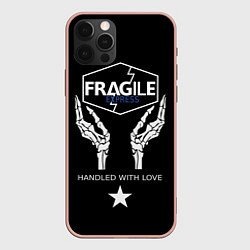 Чехол iPhone 12 Pro Max Death Stranding: Fragile Express
