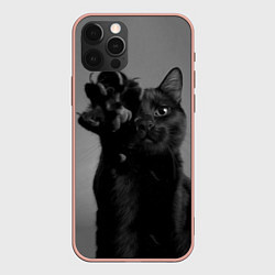 Чехол iPhone 12 Pro Max Черный котик
