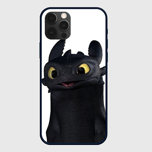 Чехол iPhone 12 Pro Max Черная фурия / 3D-Черный – фото 1