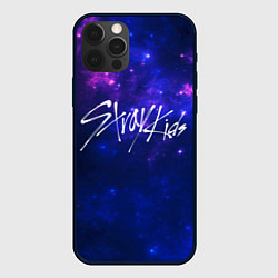 Чехол для iPhone 12 Pro Max Stray Kids, цвет: 3D-черный