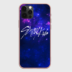 Чехол iPhone 12 Pro Max Stray Kids