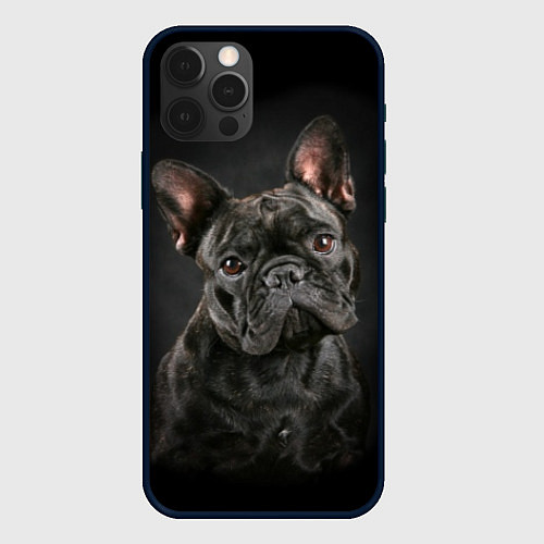 Чехол iPhone 12 Pro Max Французский бульдог / 3D-Черный – фото 1