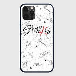 Чехол для iPhone 12 Pro Max STRAY KIDS АВТОГРАФЫ, цвет: 3D-черный