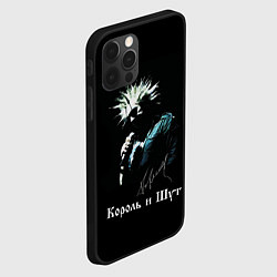 Чехол для iPhone 12 Pro Max Король и Шут: автограф, цвет: 3D-черный — фото 2