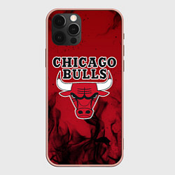 Чехол iPhone 12 Pro Max CHICAGO BULLS