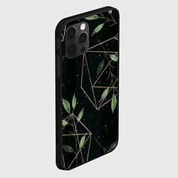 Чехол для iPhone 12 Pro Max Геометрия в природе, цвет: 3D-черный — фото 2