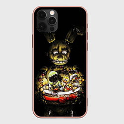 Чехол iPhone 12 Pro Max Five Nights At Freddy's
