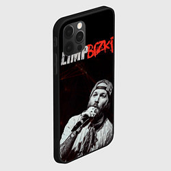 Чехол для iPhone 12 Pro Max Limp Bizkit, цвет: 3D-черный — фото 2