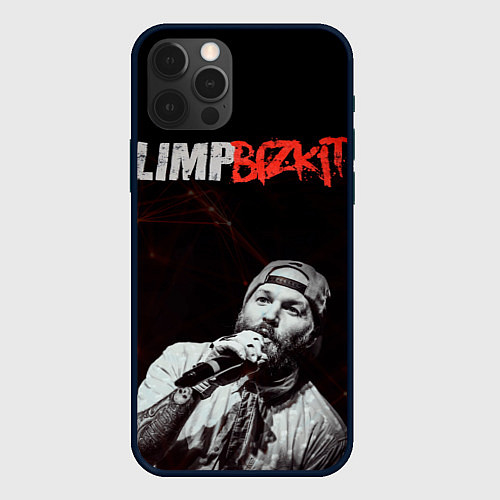 Чехол iPhone 12 Pro Max Limp Bizkit / 3D-Черный – фото 1