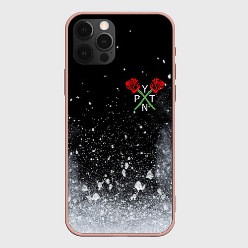 Чехол iPhone 12 Pro Max Payton Moormeier / 3D-Светло-розовый – фото 1