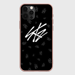 Чехол iPhone 12 Pro Max Stray Kids