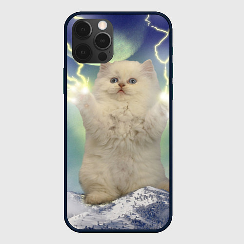 Чехол iPhone 12 Pro Max Грозовой Котик / 3D-Черный – фото 1