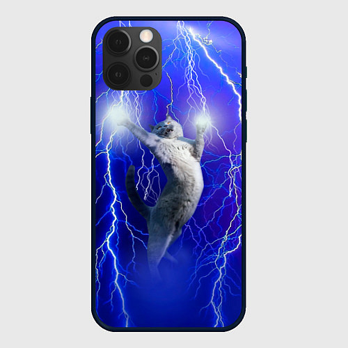 Чехол iPhone 12 Pro Max Грозовой кошак / 3D-Черный – фото 1