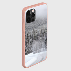 Чехол для iPhone 12 Pro Max Зимняя природа, цвет: 3D-светло-розовый — фото 2