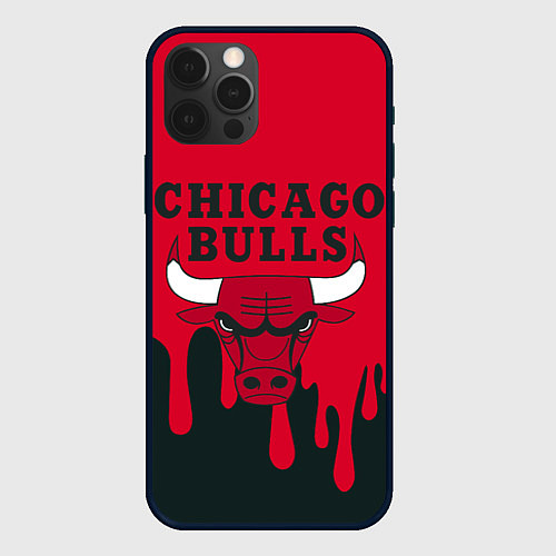 Чехол iPhone 12 Pro Max Chicago Bulls / 3D-Черный – фото 1