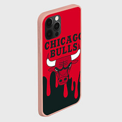Чехол для iPhone 12 Pro Max Chicago Bulls, цвет: 3D-светло-розовый — фото 2