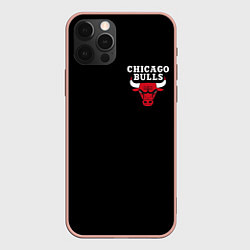 Чехол iPhone 12 Pro Max CHICAGO BULLS