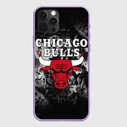 Чехол iPhone 12 Pro Max CHICAGO BULLS