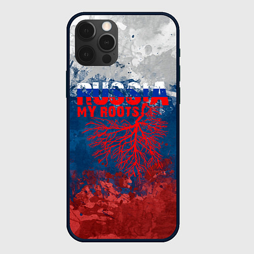 Чехол iPhone 12 Pro Max Russia my roots / 3D-Черный – фото 1