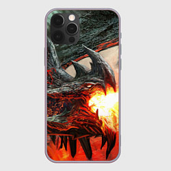 Чехол iPhone 12 Pro Max Дракон Z