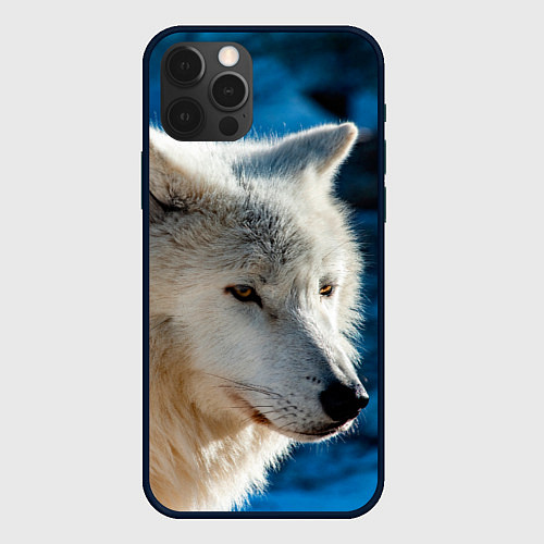 Чехол iPhone 12 Pro Max Волк на черном фоне / 3D-Черный – фото 1
