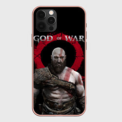 Чехол iPhone 12 Pro Max God of War