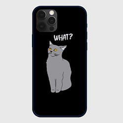 Чехол для iPhone 12 Pro Max What cat, цвет: 3D-черный