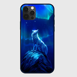 Чехол для iPhone 12 Pro Max Одинокий Волк, цвет: 3D-черный