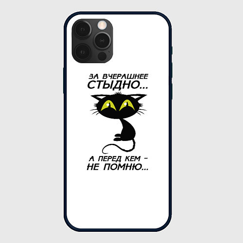 Чехол iPhone 12 Pro Max За вчерашнее стыдно / 3D-Черный – фото 1