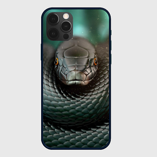 Чехол iPhone 12 Pro Max Чёрная мамба / 3D-Черный – фото 1