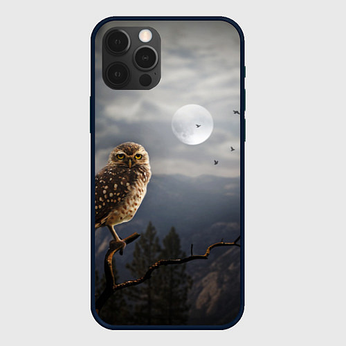 Чехол iPhone 12 Pro Max Сова / 3D-Черный – фото 1