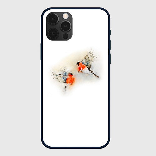 Чехол iPhone 12 Pro Max Снегири / 3D-Черный – фото 1