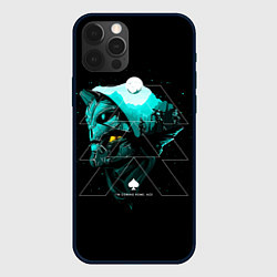 Чехол iPhone 12 Pro Max DESTINY