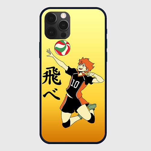 Чехол iPhone 12 Pro Max Fly High Haikyuu!! / 3D-Черный – фото 1