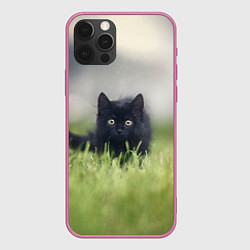 Чехол для iPhone 12 Pro Max Черный кот на лугу, цвет: 3D-малиновый