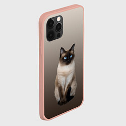 Чехол для iPhone 12 Pro Max Сиамский кот голубые глаза, цвет: 3D-светло-розовый — фото 2