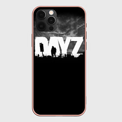 Чехол iPhone 12 Pro Max DAYZ ДЕЙЗИ