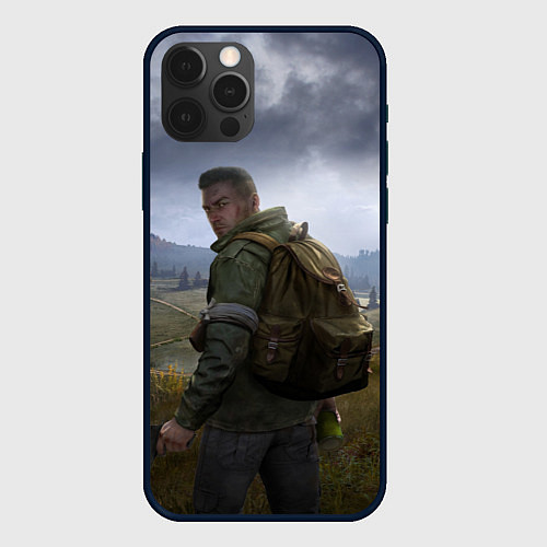 Чехол iPhone 12 Pro Max DAYZ POSTER ДЕЙЗИ ПОСТЕР Z / 3D-Черный – фото 1