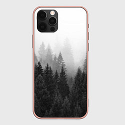Чехол iPhone 12 Pro Max Туманный лес