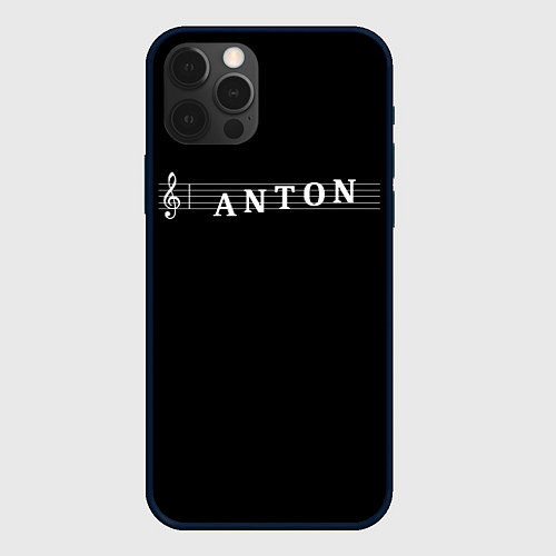 Чехол iPhone 12 Pro Max Anton / 3D-Черный – фото 1