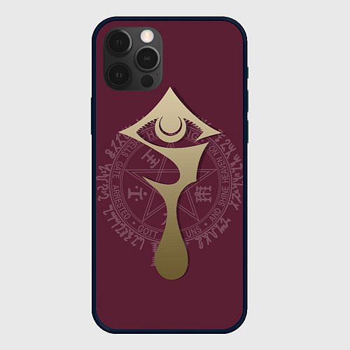 Чехол iPhone 12 Pro Max Hellsing / 3D-Черный – фото 1