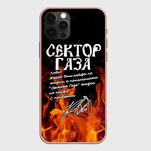 Чехол iPhone 12 Pro Max СЕКТОР ГАЗА FIRE / 3D-Светло-розовый – фото 1