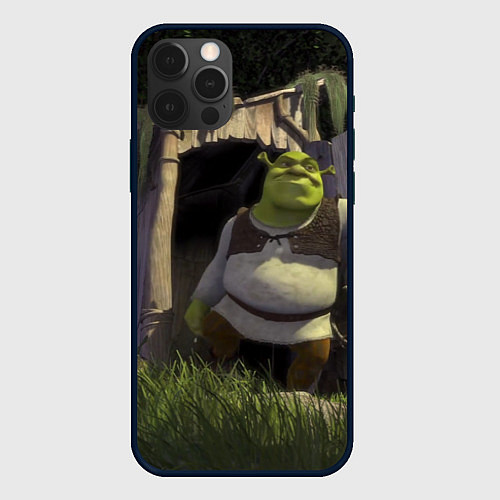 Чехол iPhone 12 Pro Max Shrek: Somebody Once Told Me / 3D-Черный – фото 1