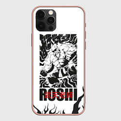 Чехол iPhone 12 Pro Max Roshi