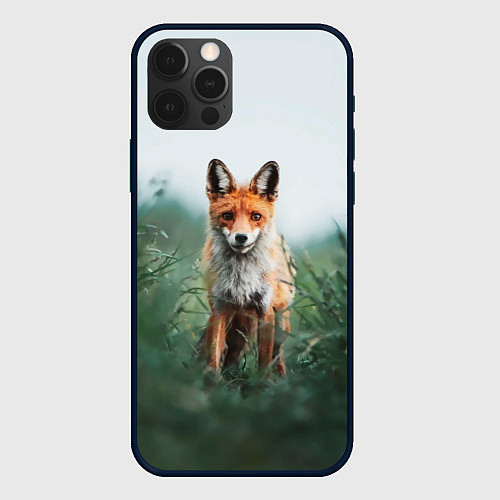 Чехол iPhone 12 Pro Max Лисица в зелени / 3D-Черный – фото 1