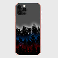 Чехол iPhone 12 Pro Max Флаг из леса
