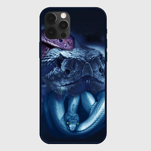Чехол iPhone 12 Pro Max Мифические змеи / 3D-Черный – фото 1